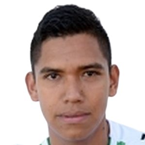 https://img.huachengsto.com/img/football/player/cc487a8a6ddbe20b57729ee8cb7cb290.png