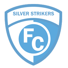 https://img.huachengsto.com/img/football/team/c4d0dfe1e5815470709113cc767bfc4a.png